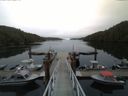 ./images/calvert/dock/20150511/dock20150511_074504.jpg