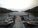 ./images/calvert/dock/20150511/dock20150511_081504.jpg