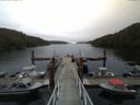 ./images/calvert/dock/20150511/dock20150511_082502.jpg