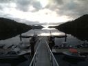 ./images/calvert/dock/20150512/dock20150512_071501.jpg