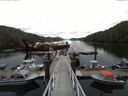 ./images/calvert/dock/20150512/dock20150512_082004.jpg