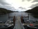 ./images/calvert/dock/20150512/dock20150512_121503.jpg