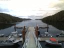 ./images/calvert/dock/20150513/dock20150513_061004.jpg