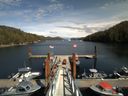 ./images/calvert/dock/20150513/dock20150513_152503.jpg