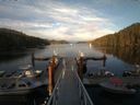 ./images/calvert/dock/20150513/dock20150513_200502.jpg