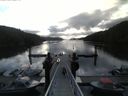 ./images/calvert/dock/20150515/dock20150515_081504.jpg