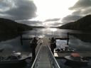./images/calvert/dock/20150515/dock20150515_090004.jpg