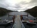 ./images/calvert/dock/20150515/dock20150515_112003.jpg
