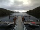./images/calvert/dock/20150515/dock20150515_123502.jpg