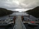 ./images/calvert/dock/20150515/dock20150515_125001.jpg