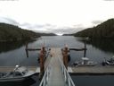 ./images/calvert/dock/20150517/dock20150517_104003.jpg