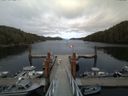 ./images/calvert/dock/20150517/dock20150517_175504.jpg
