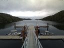 ./images/calvert/dock/20150522/dock20150522_155002.jpg