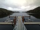./images/calvert/dock/20150522/dock20150522_160004.jpg