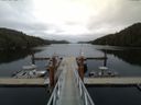 ./images/calvert/dock/20150522/dock20150522_160502.jpg