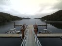 ./images/calvert/dock/20150522/dock20150522_163004.jpg