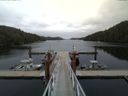 ./images/calvert/dock/20150522/dock20150522_163503.jpg
