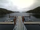 ./images/calvert/dock/20150522/dock20150522_164501.jpg