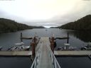 ./images/calvert/dock/20150524/dock20150524_174504.jpg