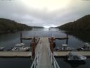 ./images/calvert/dock/20150529/dock20150529_202503.jpg