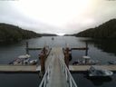 ./images/calvert/dock/20150531/dock20150531_110502.jpg