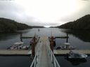 ./images/calvert/dock/20150531/dock20150531_112004.jpg
