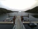 ./images/calvert/dock/20150531/dock20150531_113003.jpg