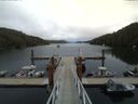 ./images/calvert/dock/20150531/dock20150531_142003.jpg