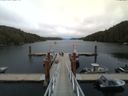 ./images/calvert/dock/20150531/dock20150531_152004.jpg