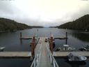 ./images/calvert/dock/20150531/dock20150531_153004.jpg