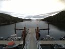 ./images/calvert/dock/20150605/dock20150605_073004.jpg