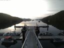 ./images/calvert/dock/20150606/dock20150606_060004.jpg