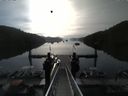 ./images/calvert/dock/20150606/dock20150606_075004.jpg
