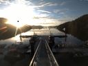 ./images/calvert/dock/20150607/dock20150607_061004.jpg