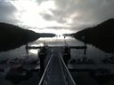./images/calvert/dock/20150607/dock20150607_065002.jpg