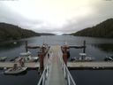 ./images/calvert/dock/20150607/dock20150607_165004.jpg