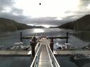 ./images/calvert/dock/20150609/dock20150609_081502.jpg