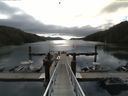 ./images/calvert/dock/20150609/dock20150609_082501.jpg