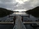 ./images/calvert/dock/20150611/dock20150611_081504.jpg