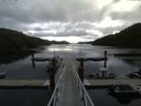 ./images/calvert/dock/20150611/dock20150611_082502.jpg