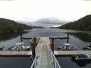 ./images/calvert/dock/20150611/dock20150611_085003.jpg