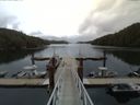 ./images/calvert/dock/20150611/dock20150611_091502.jpg