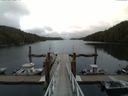 ./images/calvert/dock/20150611/dock20150611_115504.jpg