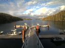 ./images/calvert/dock/20150611/dock20150611_201503.jpg