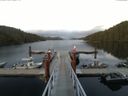 ./images/calvert/dock/20150611/dock20150611_215504.jpg