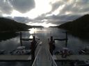 ./images/calvert/dock/20150613/dock20150613_070502.jpg