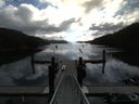 ./images/calvert/dock/20150615/dock20150615_092003.jpg
