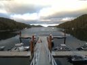 ./images/calvert/dock/20150615/dock20150615_205501.jpg