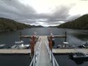 ./images/calvert/dock/20150616/dock20150616_123504.jpg
