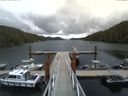 ./images/calvert/dock/20150616/dock20150616_151002.jpg
